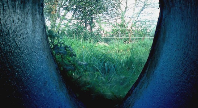 Image Alix Edwards3 640x350 Overlay Street Gallery   Hackney